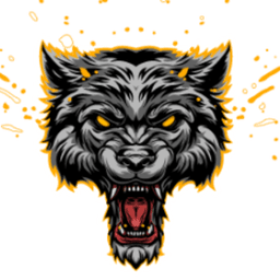 maxxddtv avatar