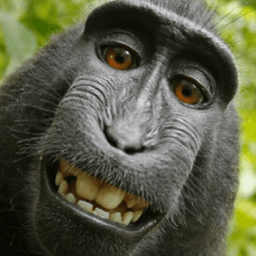 mrfelek44 avatar
