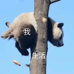 源哥哥哥 avatar