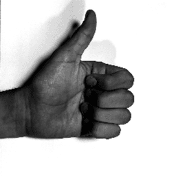 TheJuanWhoSocks avatar