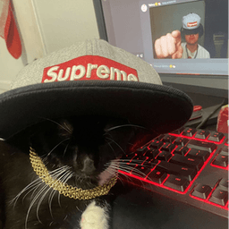 rrmando avatar