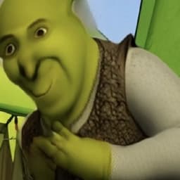 derpyshr3k avatar