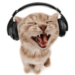 poufywouf avatar