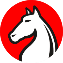 citychessuz avatar