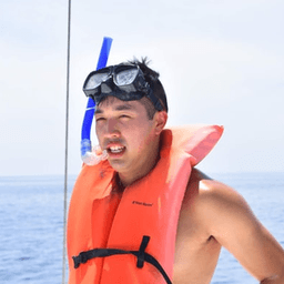 freelilfil avatar