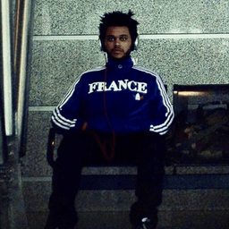 mandotwod avatar
