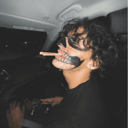 streptfn avatar