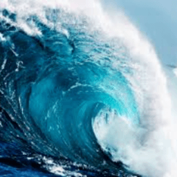 tidalws avatar