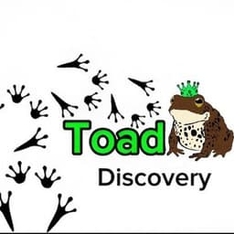 ToadDiscovery avatar