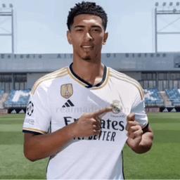 luis_vicente__ avatar