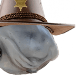 slowboate avatar
