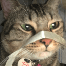 hirumiii avatar