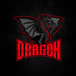 Dragon_streamertwitch avatar
