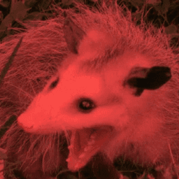 ScaredOpossum avatar