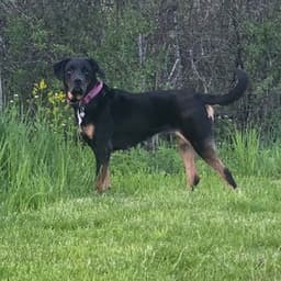 biggerbean18 avatar
