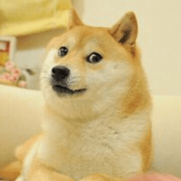 Dogge420 avatar