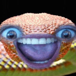 TutorialSnakeLIVE avatar