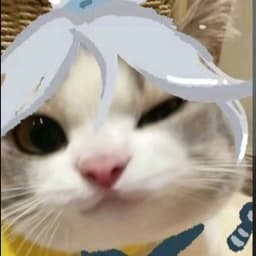 ashhice avatar