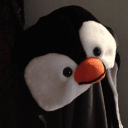 sammyoco avatar