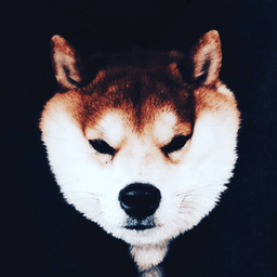 一低桑 avatar