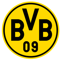 bvb_official avatar