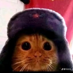 philipp_21122112 avatar