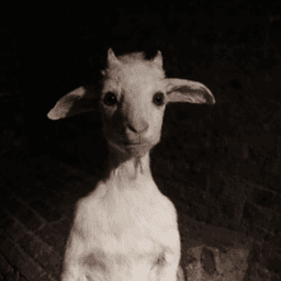 Tolokarma avatar