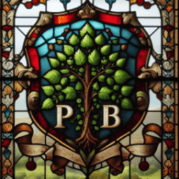 PatrickBuissons avatar
