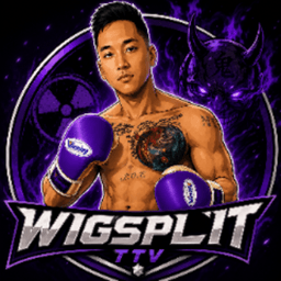 WigsplitTTV avatar