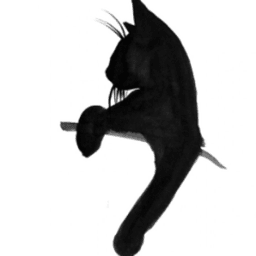 akiitty47 avatar