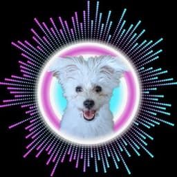 cleo3993 avatar