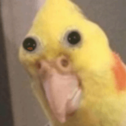 Birbeeh avatar