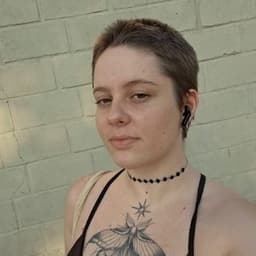 laviz__ avatar