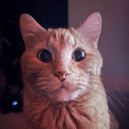 sirfireGD avatar