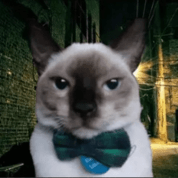 Heimercat avatar