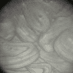 RealMaxunes145 avatar