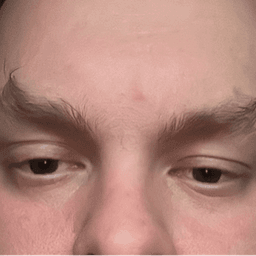 kollvanich avatar