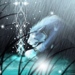 skollcat_ avatar