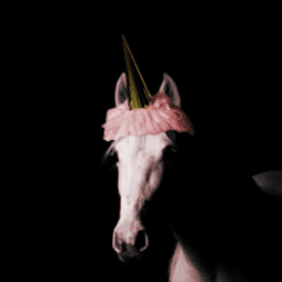 UnicornPlaysGamez avatar