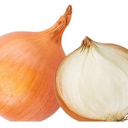 TheOutstandingOnion avatar