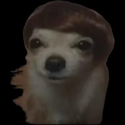 iXanify_ttv avatar