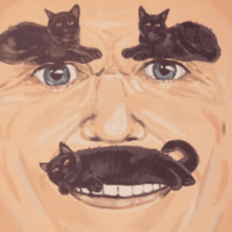 NormandyRen avatar