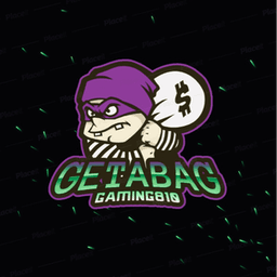 GetABag810 avatar