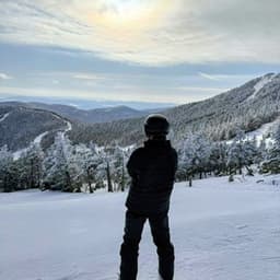 cointhegoat2 avatar