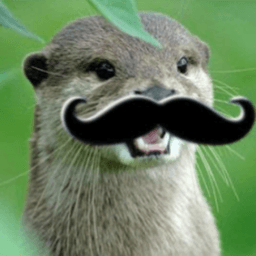AussieOtter avatar