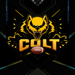 ColtTTV_ avatar