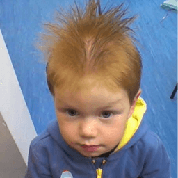 ginganut avatar