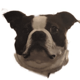 graffmosserdmanned avatar