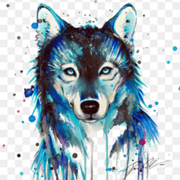 lonewolfpark avatar