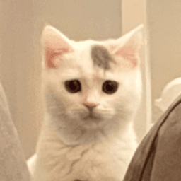 meda_tf avatar